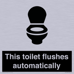 This toilet flushes automatically